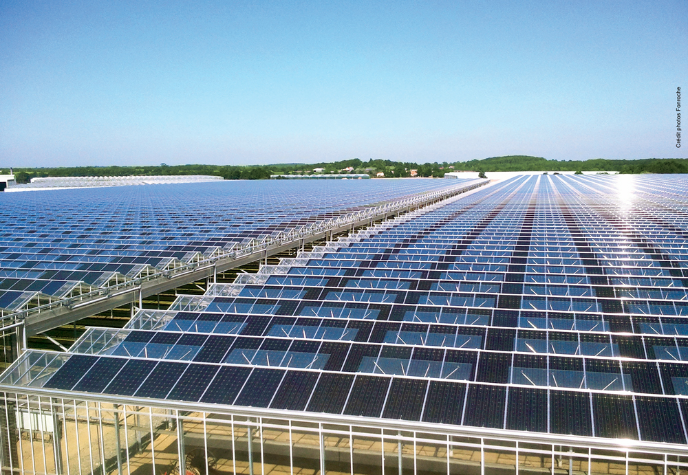 Fonroche changes name to Reden Solar, announces plans to deploy more PV plants France Puerto Rico – pv magazine International