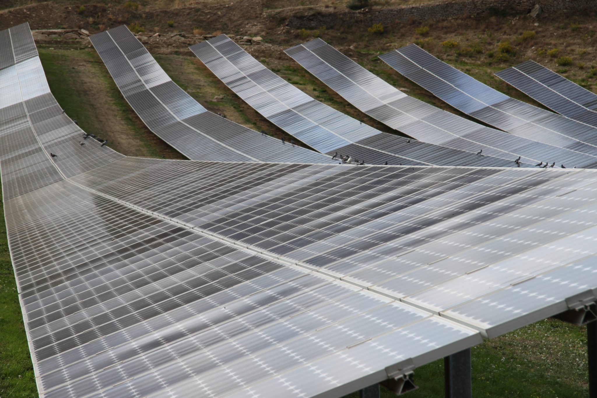 Quercus buys 18.4 MW of solar plants in southern Italy - pv magazine Global