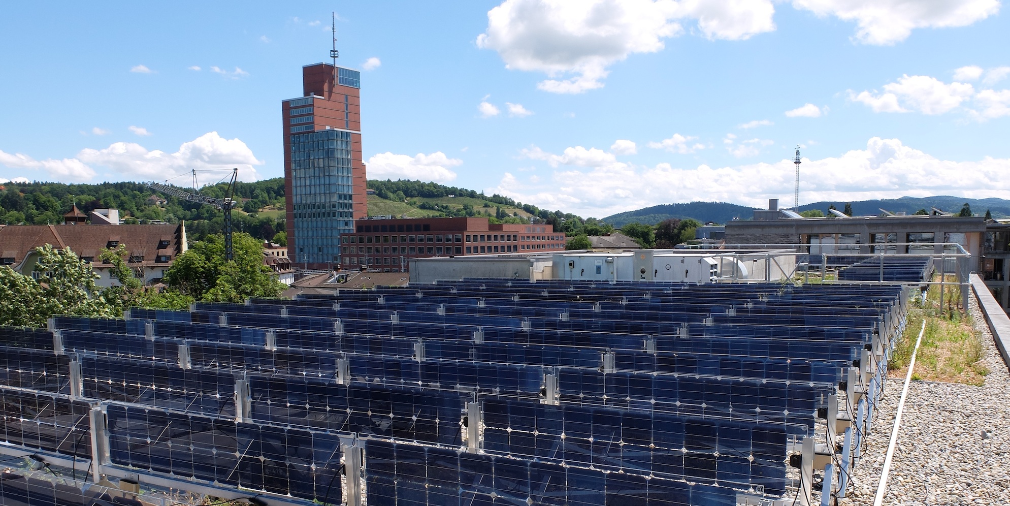 Swiss researchers testing planted rooftop areas in combination with PV ...