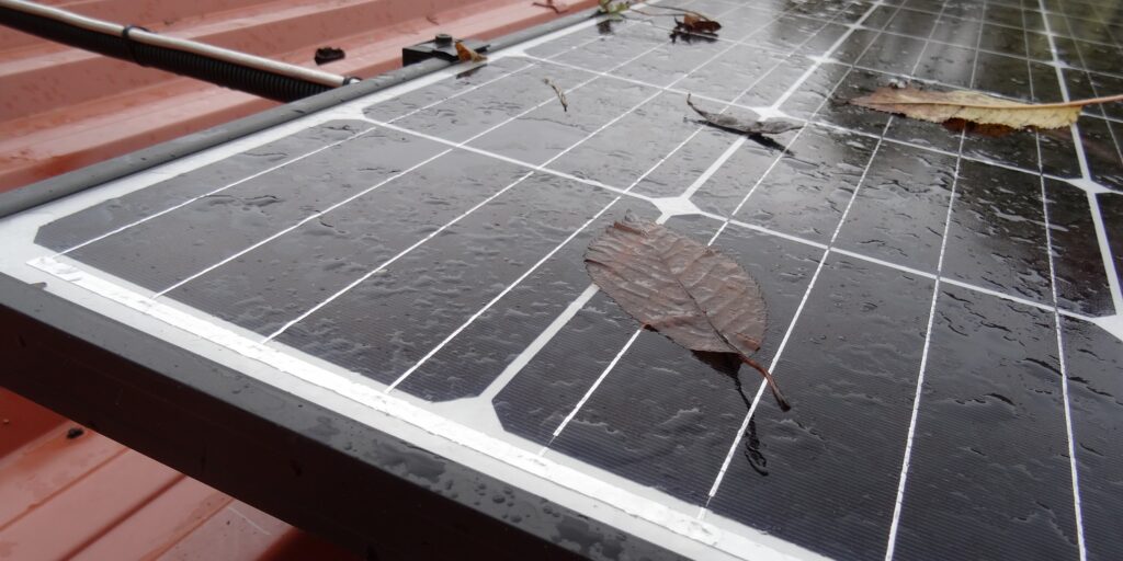 Leafs on wet module