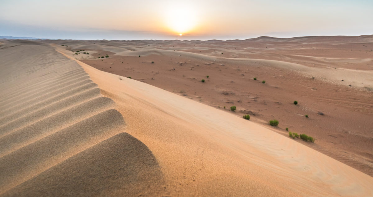 UAE Dune