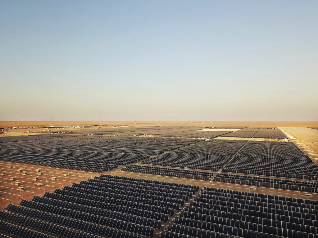 The weekend read: The land of the low tender - pv magazine Global