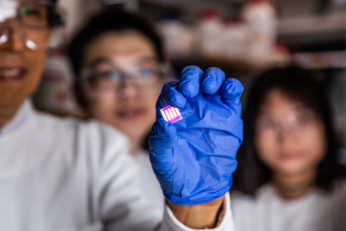 A quantum dot solar cell with 16.6% efficiency â€“ pv magazine ...