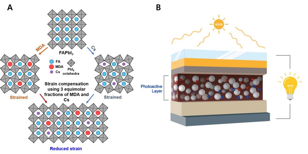 Perovskite Solar Cell Device Structure