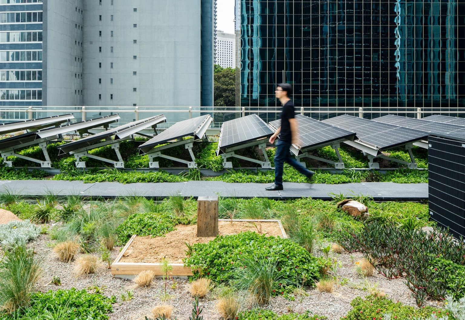 Green roof improves solar panel efficiency by 3.6 on average pv