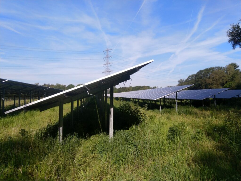 Minimum solar panel raw distance crucial for good soil, vegetation ...