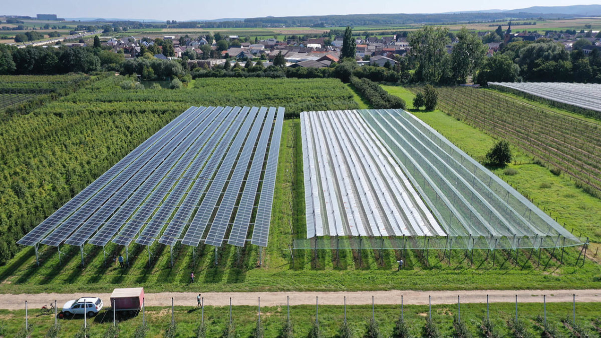 România accelerează procesul pentru a permite solar pe terenuri agricole – pv magazine international