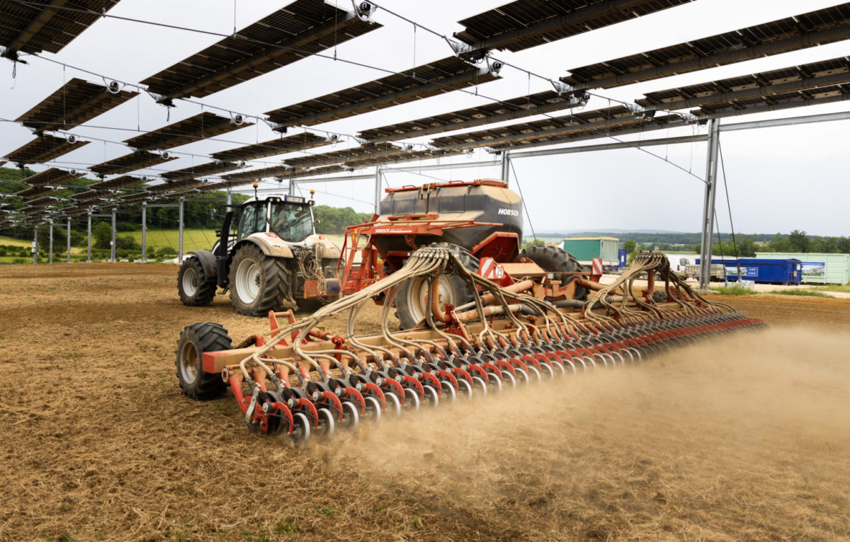 Agrivoltaics for arable crops – pv magazine International - pv magazine International