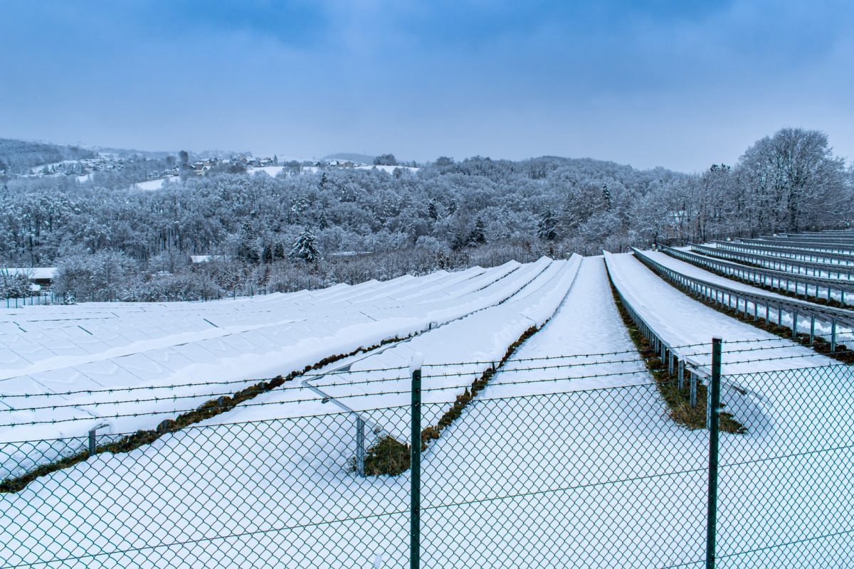 New tool to simulate climate at utility-scale PV project sites