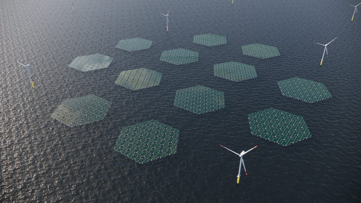 Offshore-Windpark in der Nordsee für schwimmende 5-MW-PV-Anlage – pv magazine International