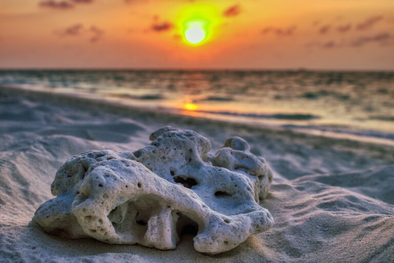 Maldives launches 20 MW solar tender pv magazine International