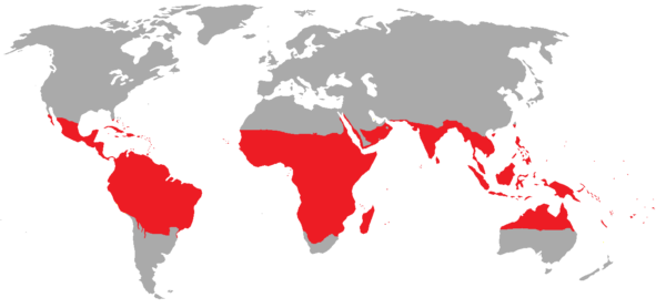 Tropical regions are red.
