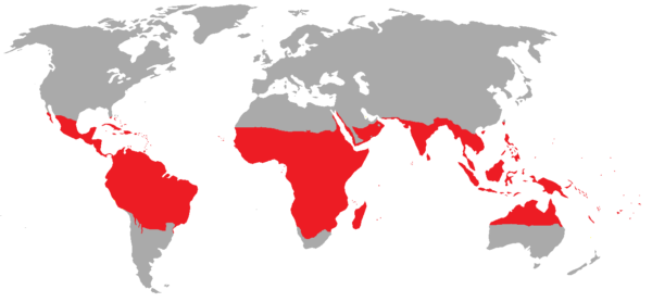 Tropische Regionen sind rot.