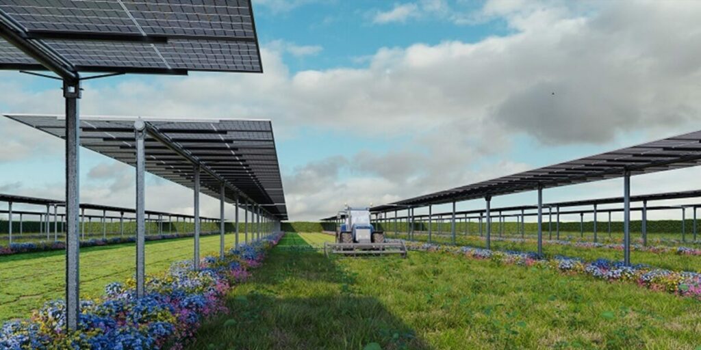 Agri-Photovoltaik-Anlage, DVP Solar, Tracker