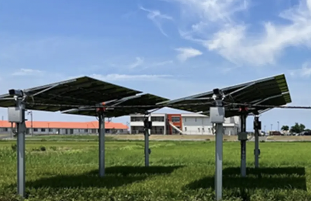 Idemitsu Kosan invests in agrivoltaics - pv magazine Global