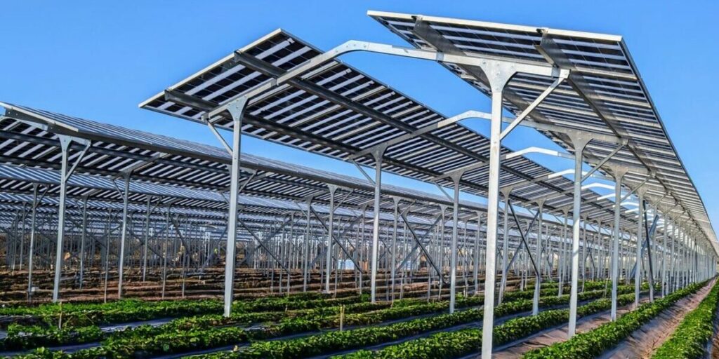 Grid Parity agrivoltaic module