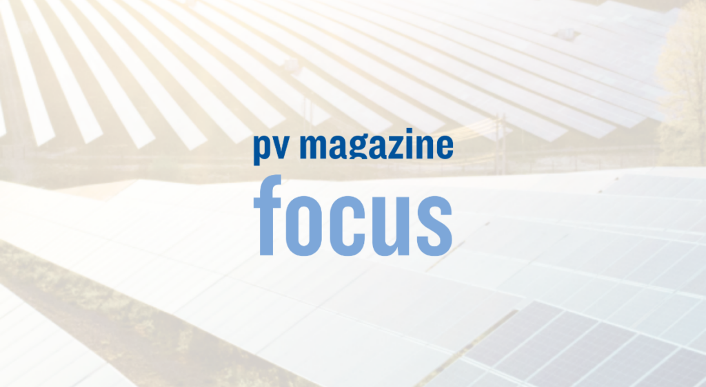 Focus 2024