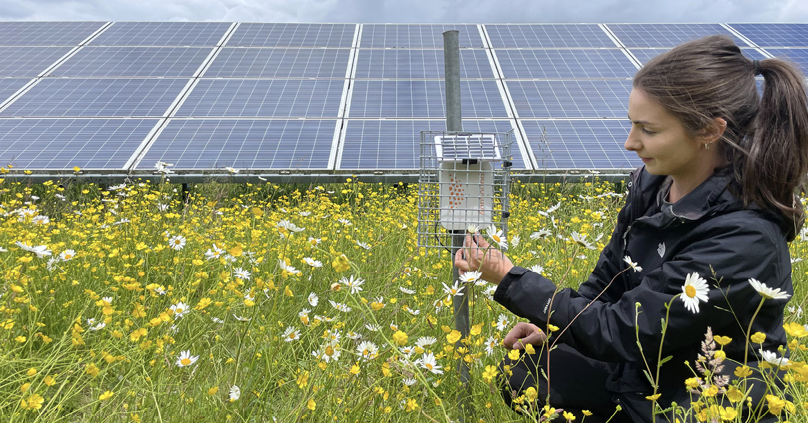 Researcher Hollie Blaydes collects data at a UK solar installation.