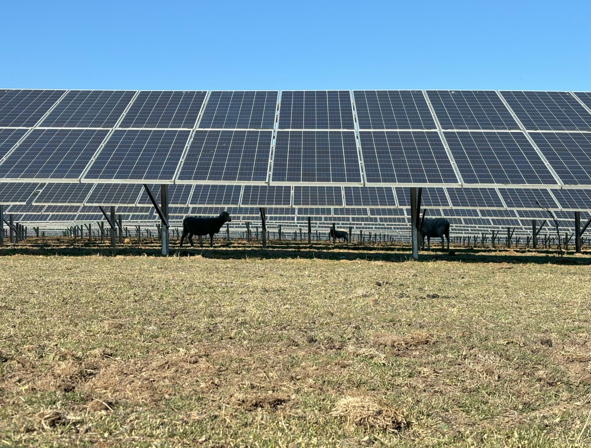 Solar myths and misconceptions
