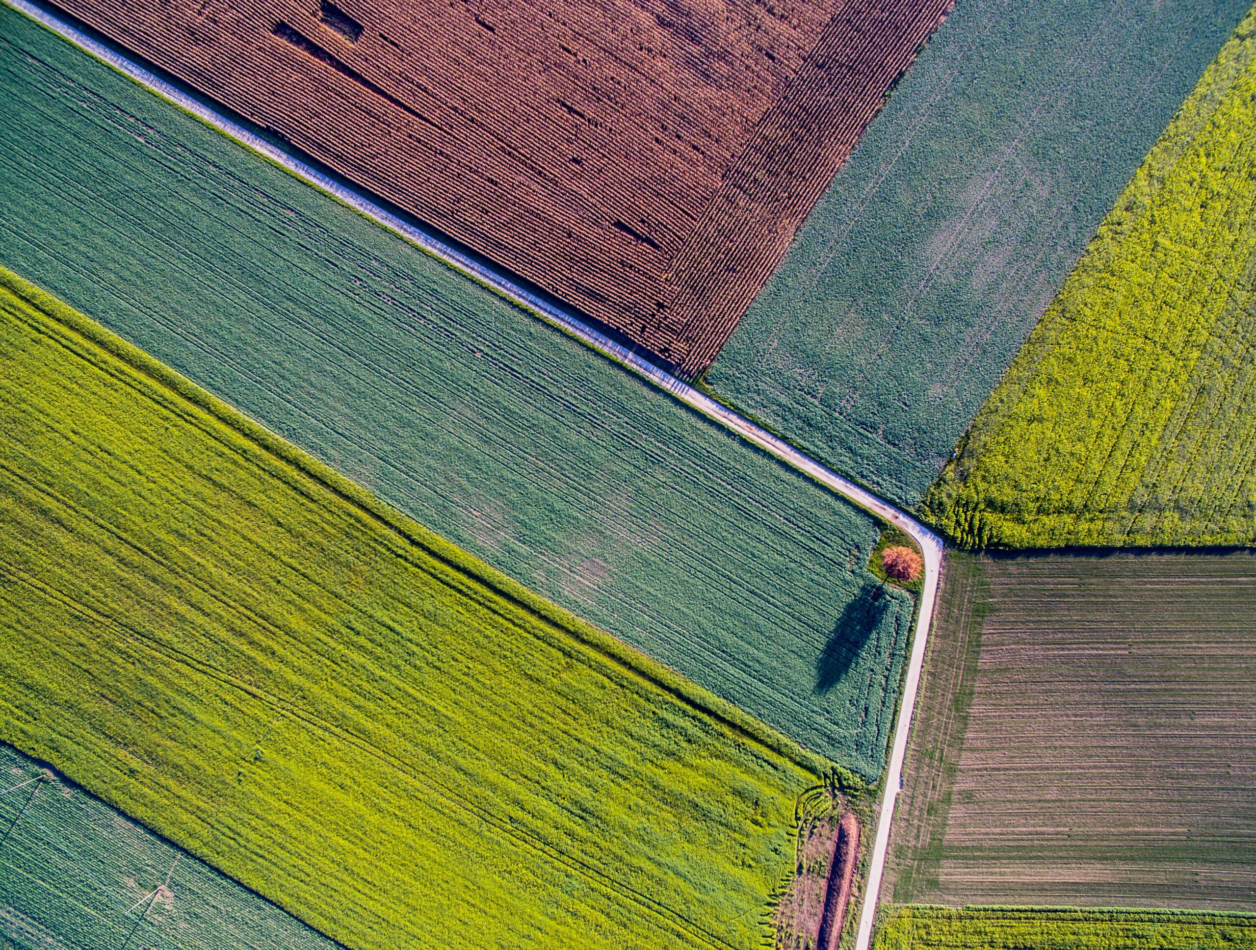 Decision making tool for crop selection in agrivoltaics - pv magazine ...