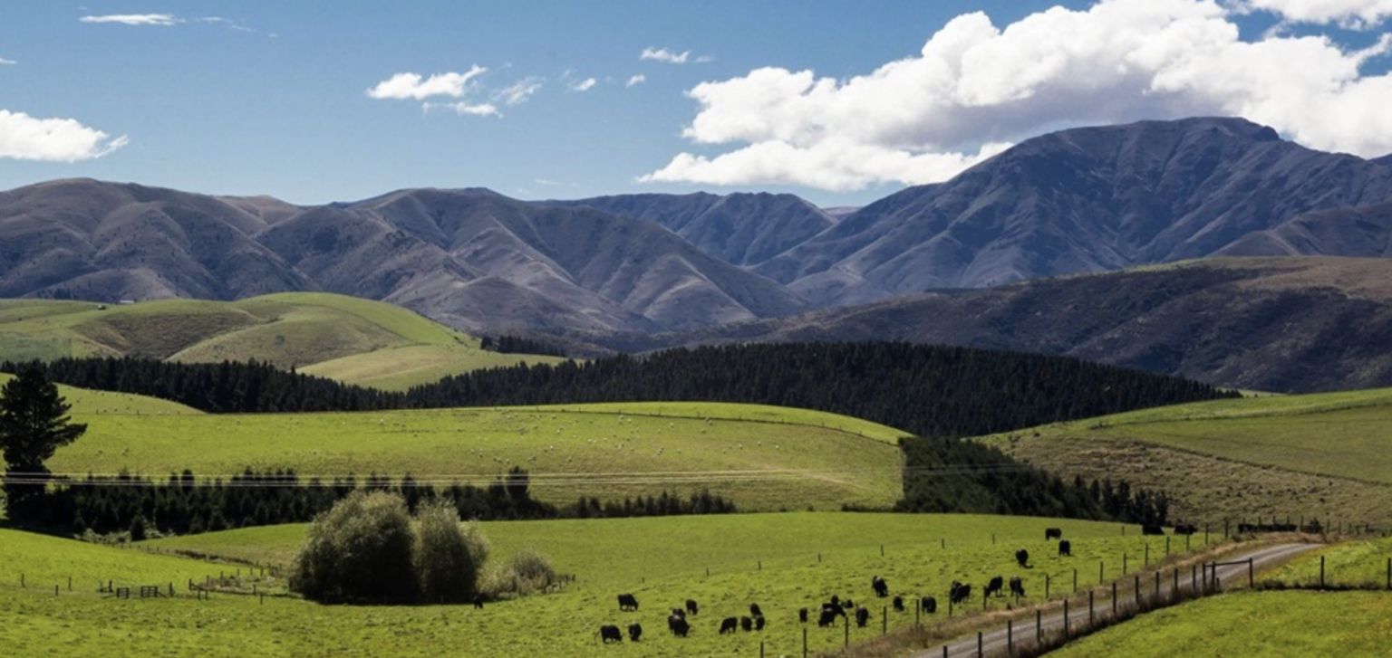 New Zealand approves 200 MWh solar-plus-storage project – pv magazine ...
