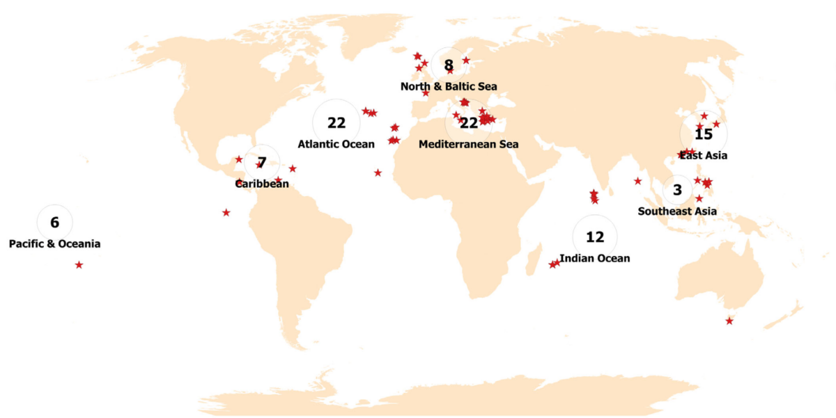 pv-magazine.com - Small islands, big impact: the role of solar PV for the tropics