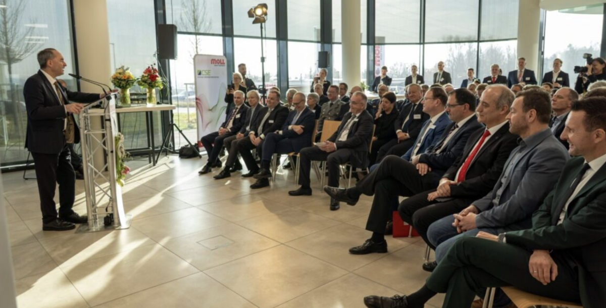 Germany backs Moll Batterien sodium-ion battery plant with over €22 million