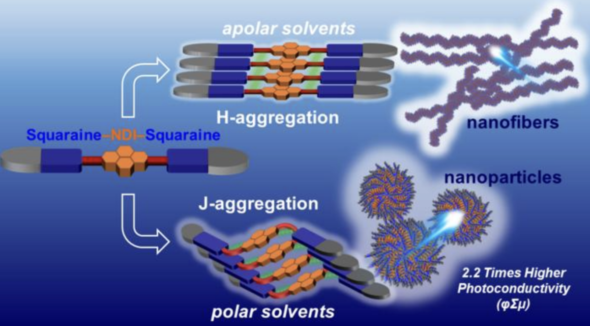 Self-assembling molecule for organic solar cells