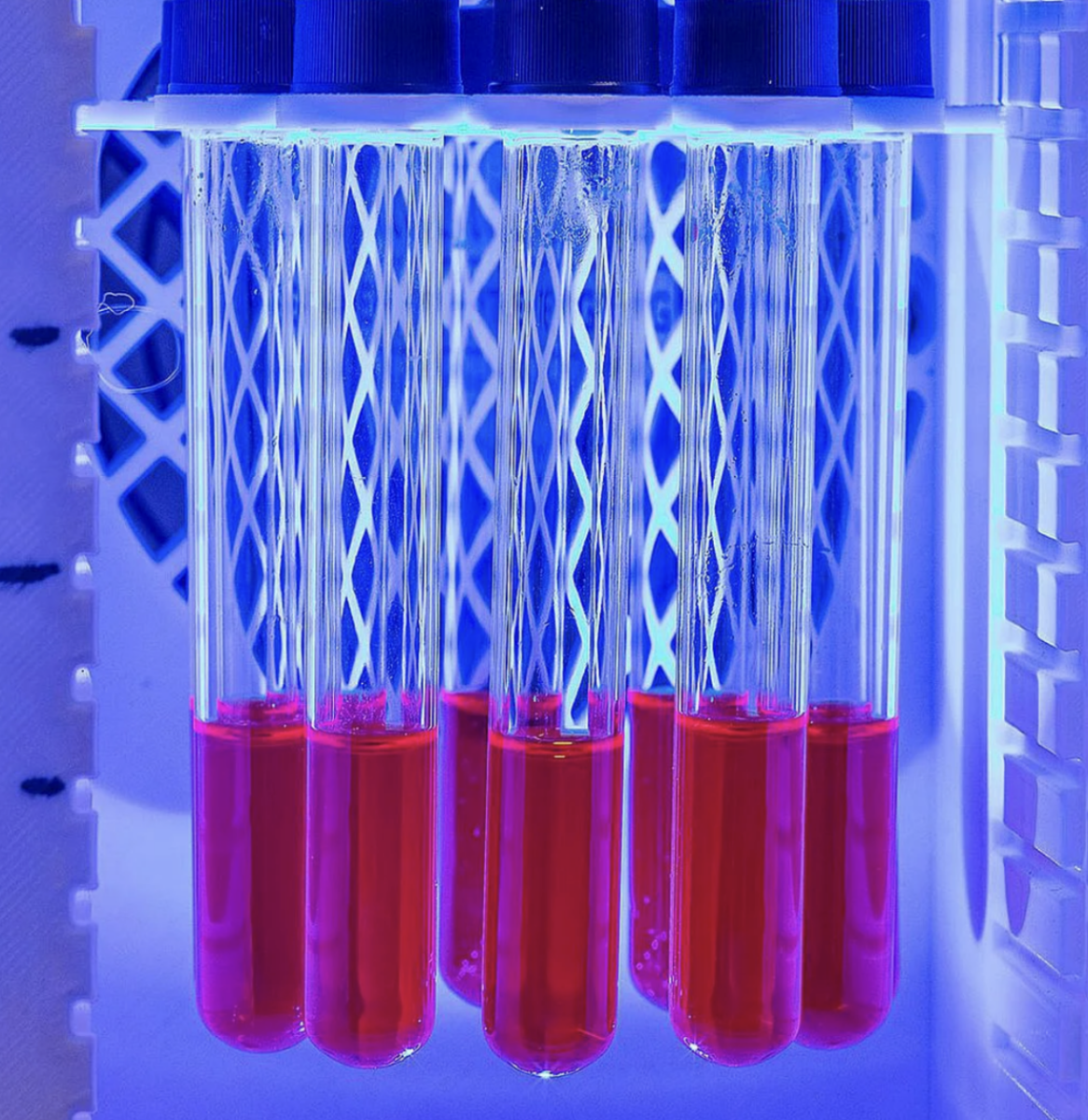 pv-magazine.com - Molecular solar battery stores energy for days, yields hydrogen on demand