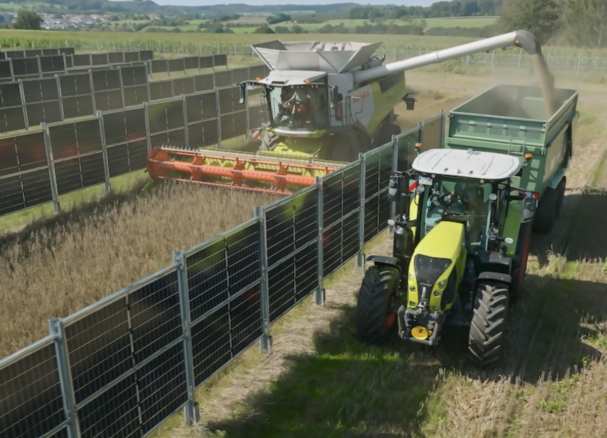 Agrivoltaics with trackers, vertical systems offer economic upside