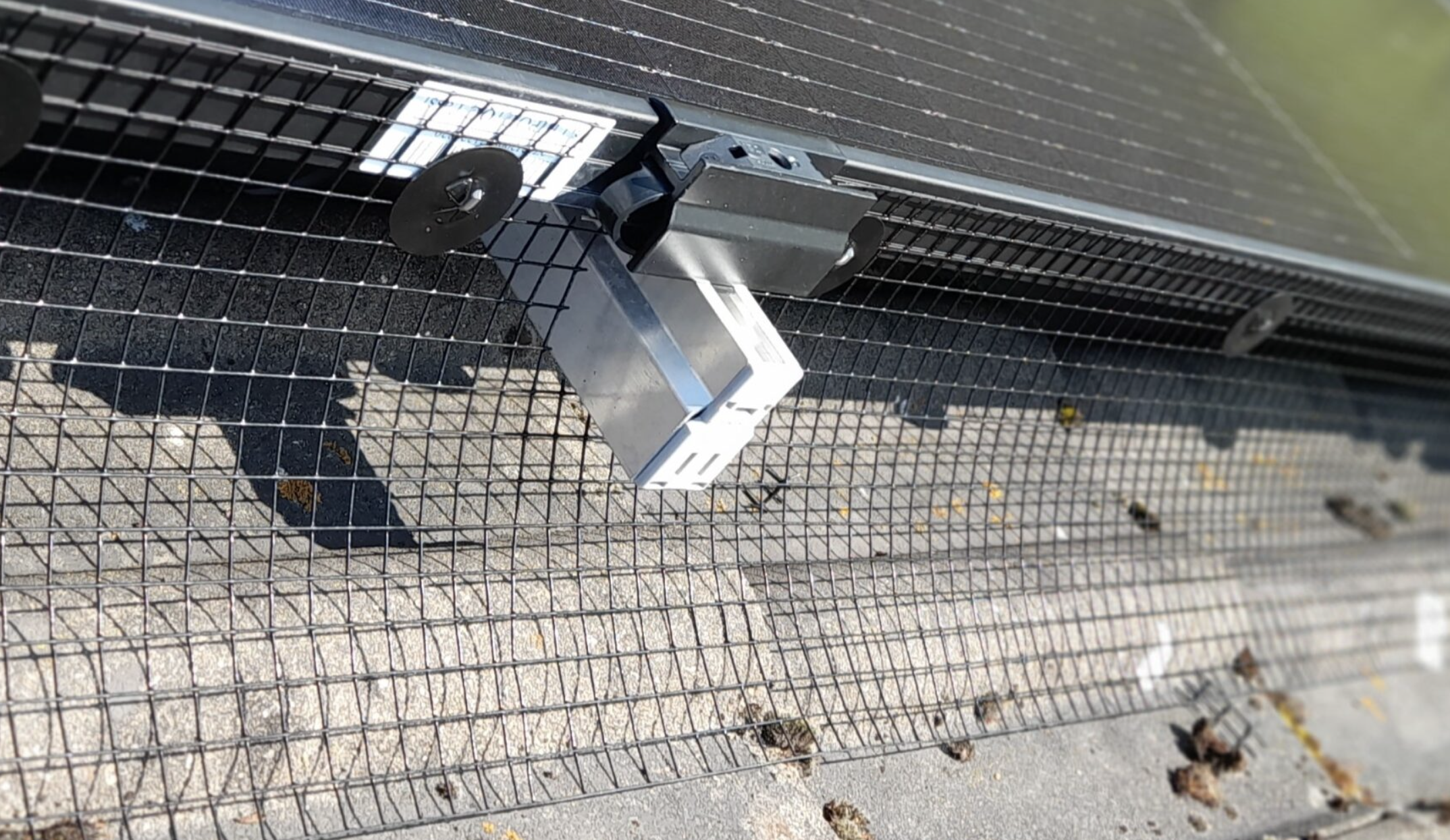 Sassmann develops ‘solar panel grid’ for pigeon protection