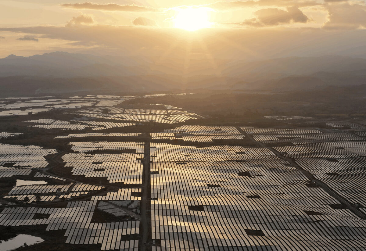 Large open landscape covered by solar panels, sunset in the background.