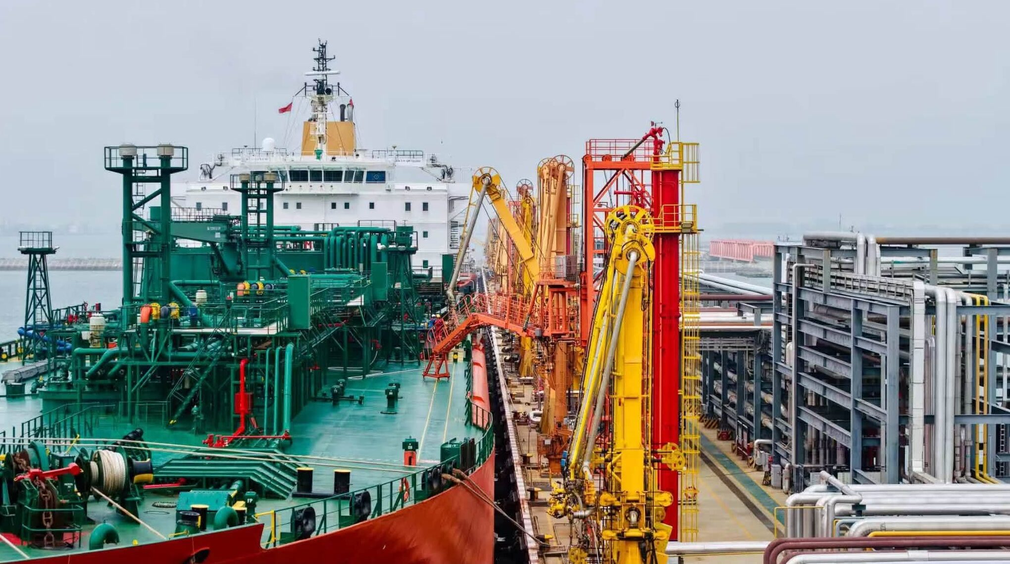 Chinese firm sets record for green ammonia export to South Korea