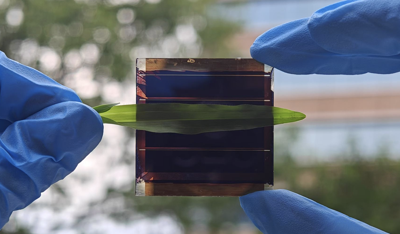 Researchers develop perovskite-organic tandem solar cell with improved stability
