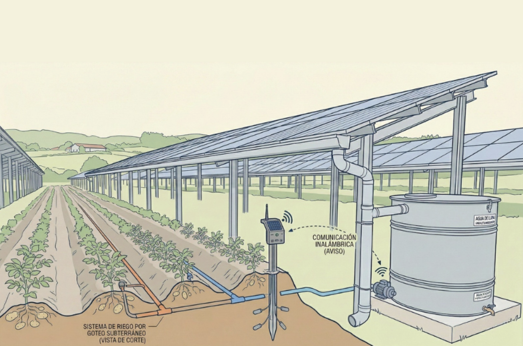 Mexican graduates develop agrivoltaic system with rainwater harvesting, smart irrigation