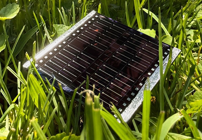 UNSW researchers achieve 12.6% efficiency in kesterite solar cells through defect control