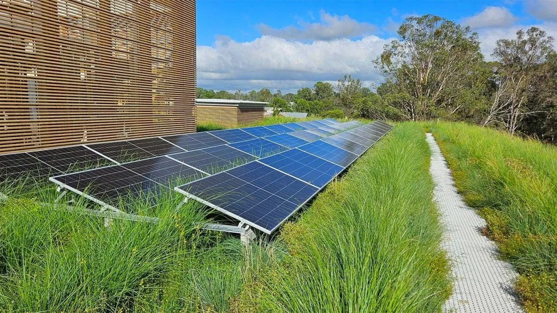Study finds rooftop gardens boost solar panel output by 23%