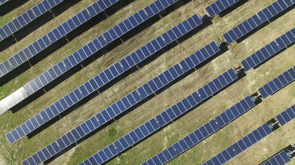 Amazon, Nadara switch on 277 MW agricoltaic facility in Italy