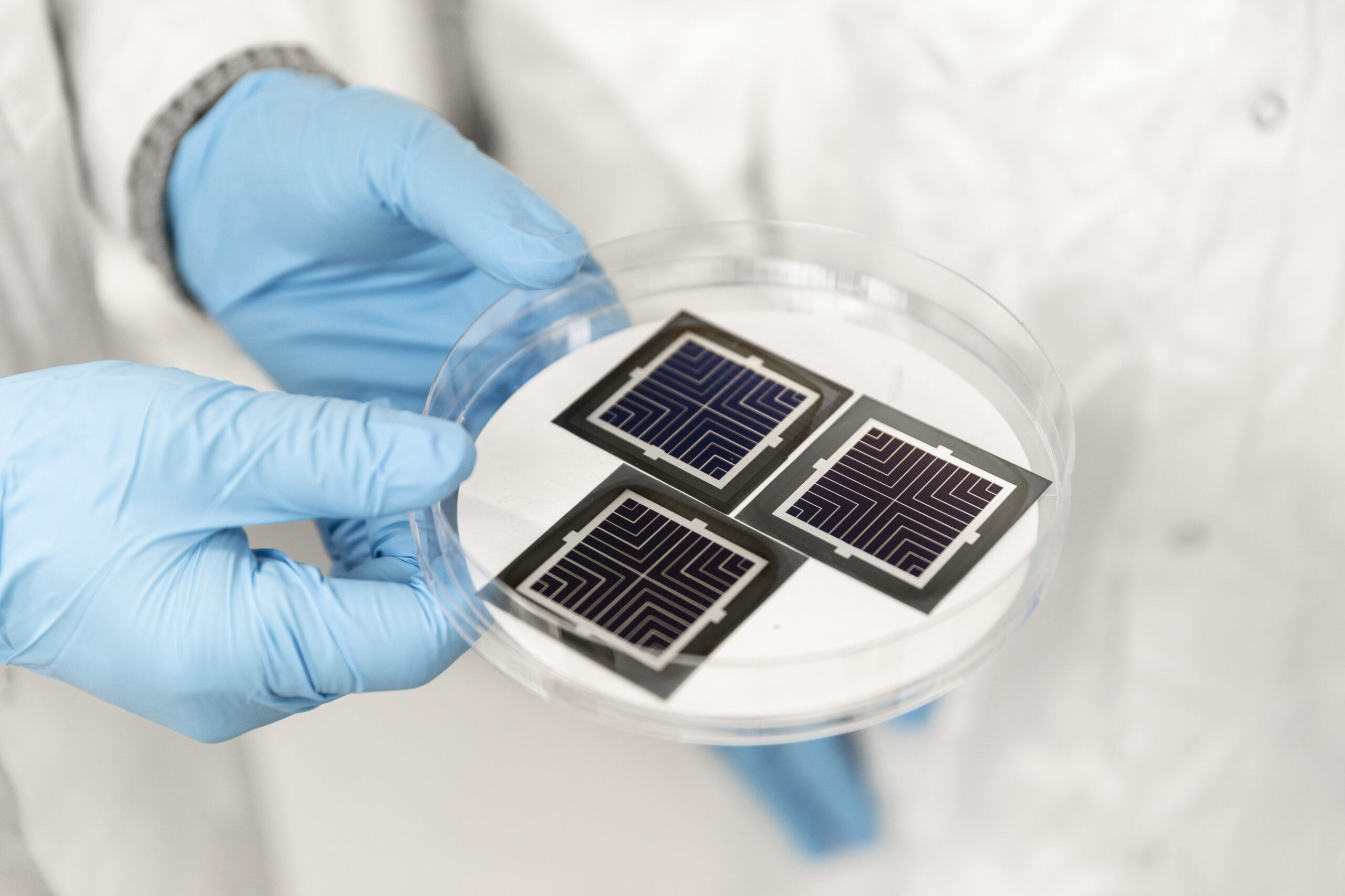 Australian manufacturer plans 500 MW perovskite-silicon tandem solar module factory