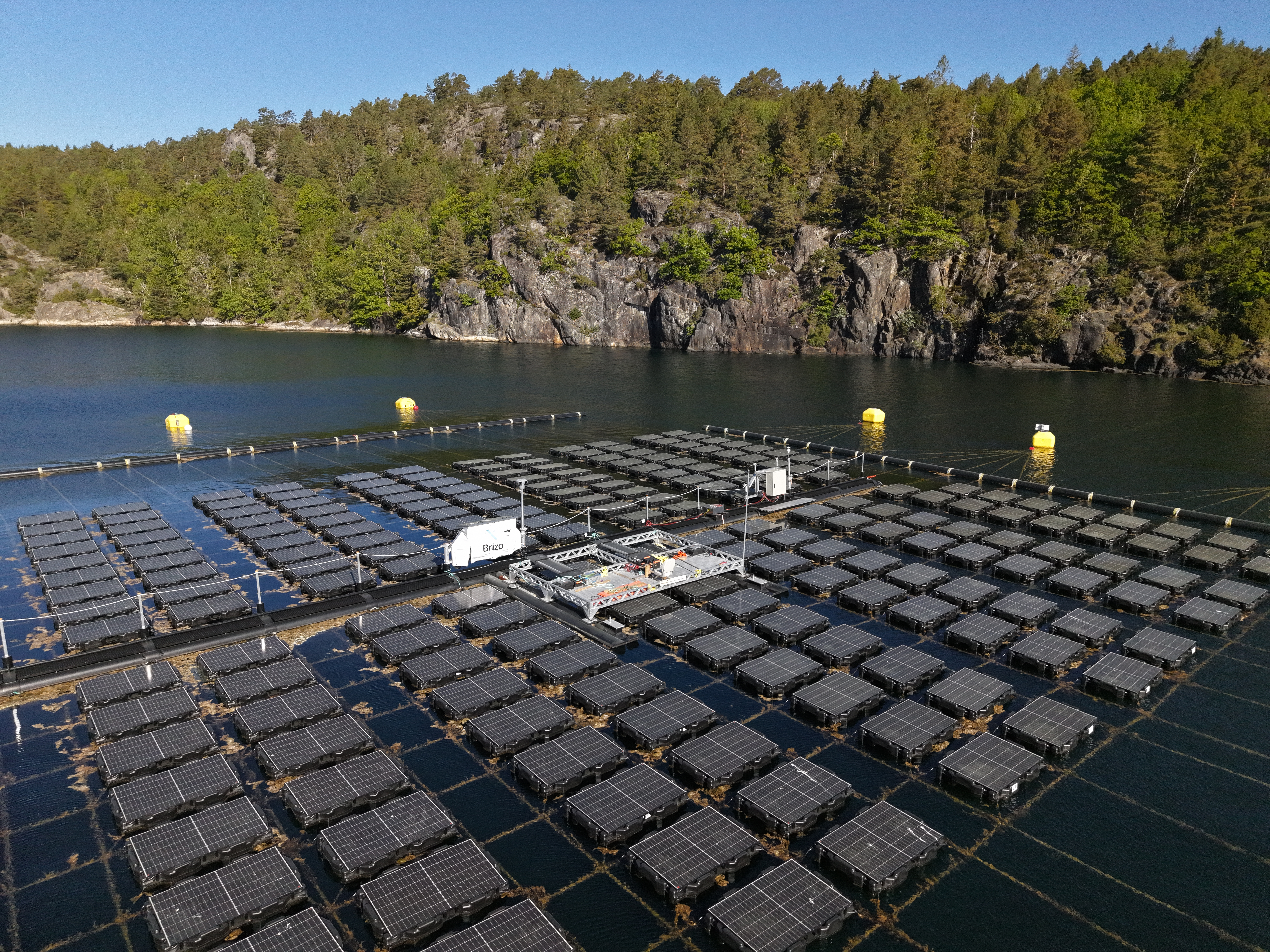 A closer look at Fred. Olsen 1848's load-decoupled modular floating PV system for nearshore applications - pv magazine Global