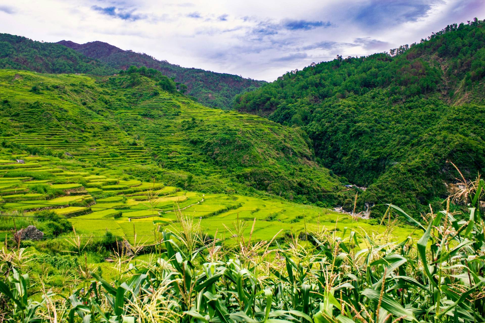 Philippines to develop PV exemption areas
