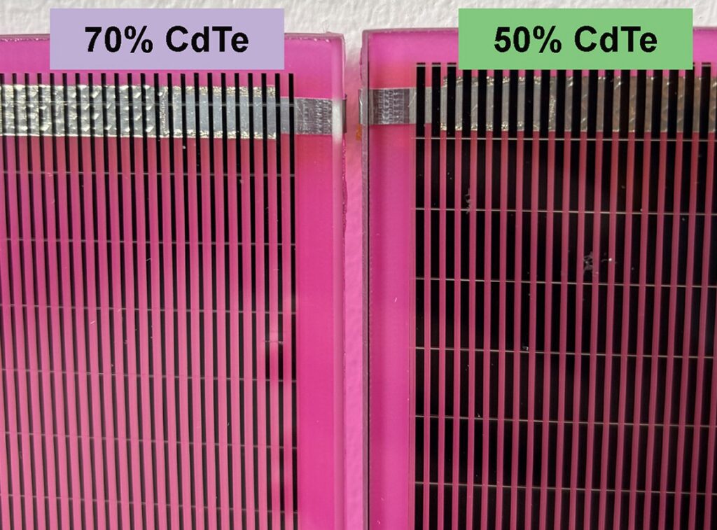 Cultivando brócoli bajo paneles solares en Suecia
