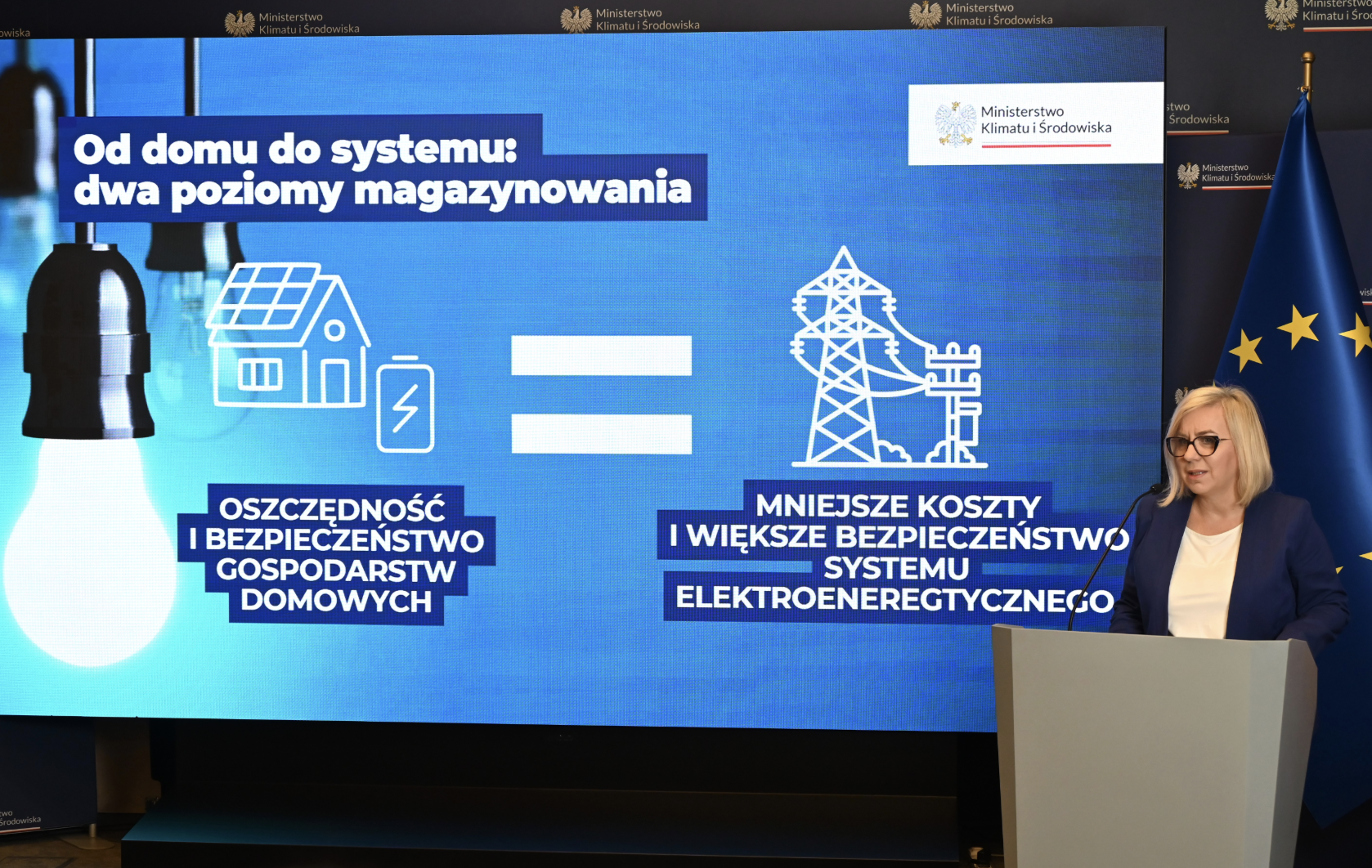 Poland unveils new home storage subsidy 