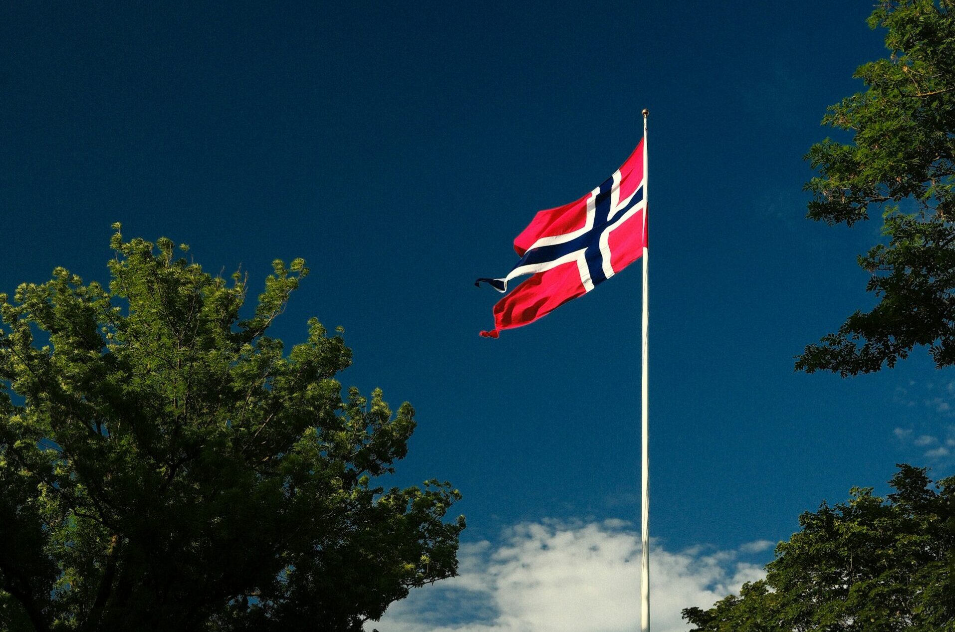 pv-magazine.com - Patrick Jowett - Norwegian alliance calls for increased solar support