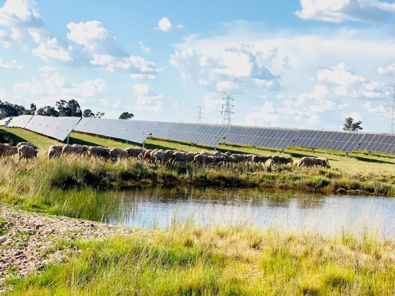 pv-magazine.com - David Carroll - Utility solar generation reaches record highs in Australia